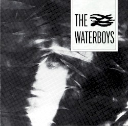 The Waterboys
