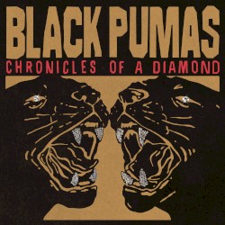 Chronicles of a Diamond