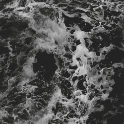 Tempestarii + DISintegration