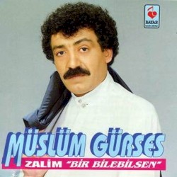 Bir Bilebilsen