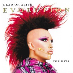 Evolution: The Hits