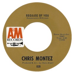 Because of You / Elena