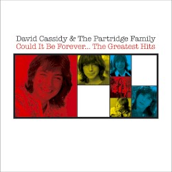 Could It Be Forever… The Greatest Hits