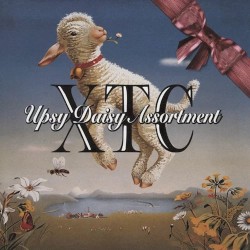 Upsy Daisy Assortment