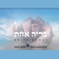 בריה אחת