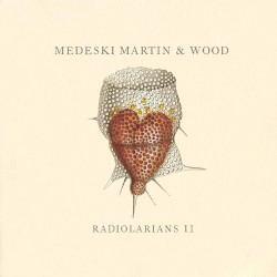 Radiolarians II