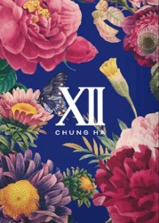 벌써 12시