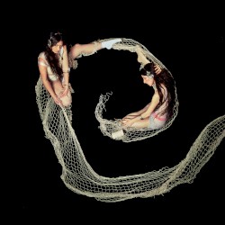 Butterfly Net