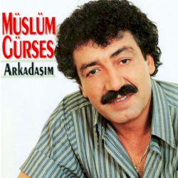 Arkadaşım