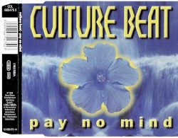 Pay No Mind