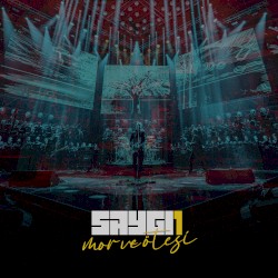 SAYGI1