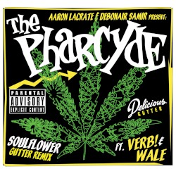 Soul Flower (Aaron Lacrate & Debonair Samir Present: Remixes)