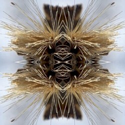 Psychic Malaise
