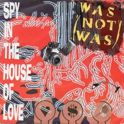 Spy in the House of Love