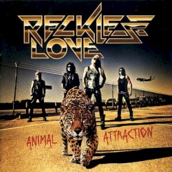 Animal Attraction