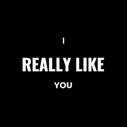 I Really Like You