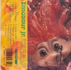 Fossils