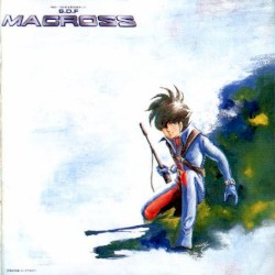The S.D.F. Macross