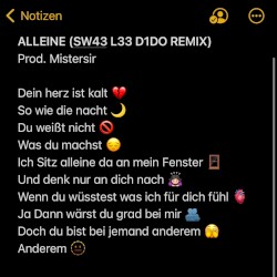 ALLEINE (SW43 L33 D1DO REMIX)