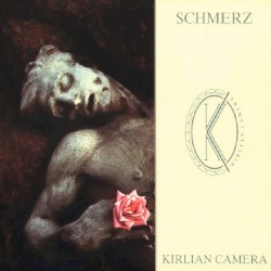 Schmerz