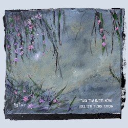 שלא תדעו עוד צער