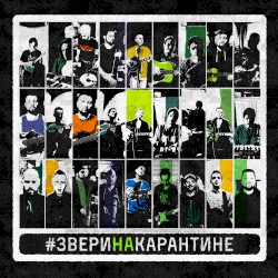 Звери на карантине