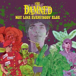 Not Like Everybody Else
