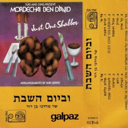 Just One Shabbos