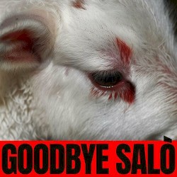 GOODBYE SALÒ