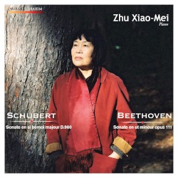 Schubert: Sonate en si bémol majeur D. 960 / Beethoven: Sonate en ut mineur opus 111