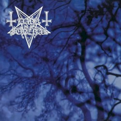 My Dark Desires (re‐recording 2024)