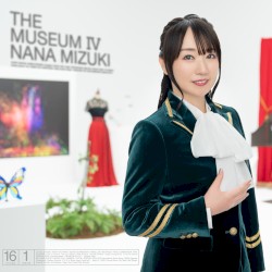THE MUSEUM IV