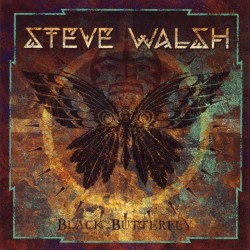 Black Butterfly