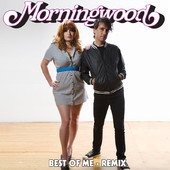 Best Of Me (James Euringer/Mindless Self Indulgence Remix)