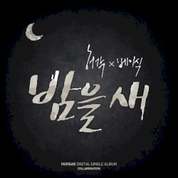 밤을 새