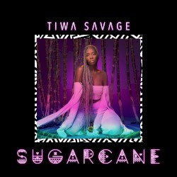Sugarcane
