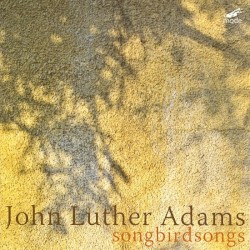 songbirdsongs