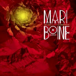 Áiggi Askkis: An Introduction to Mari Boine
