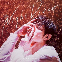 Night Diver