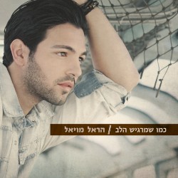 כמו שמרגיש הלב