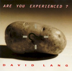 Are You Experienced?