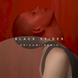 Black Spider (Origami remix)