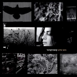 קומוניקטיבי