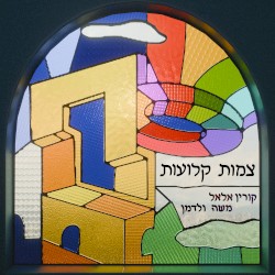 צמות קלועות