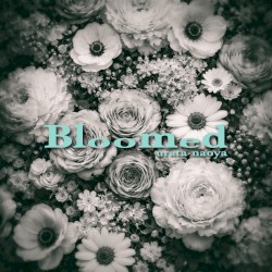 Bloomed