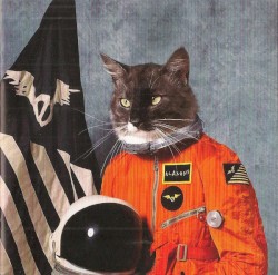 Surfing the Void