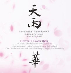 天雨华