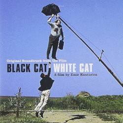 Chat Noir Chat Blanc