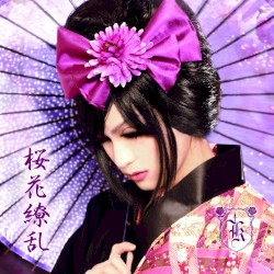 桜花繚乱