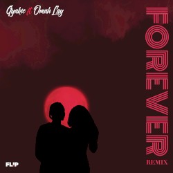 Forever (Remix)